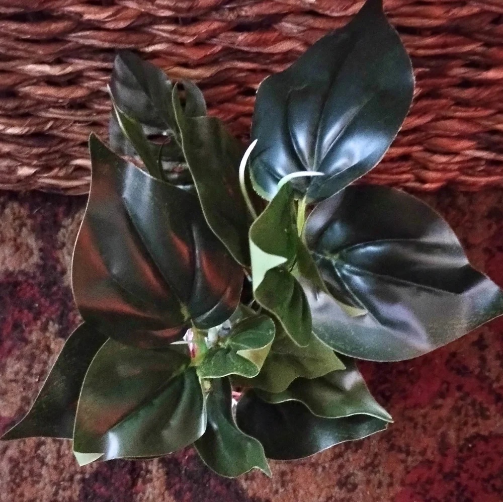 Aquarium Decor